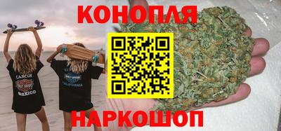 бошки Тара