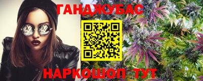 бошки Тара