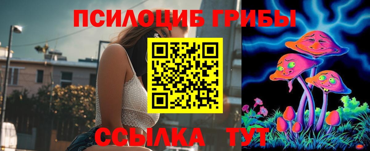 Галлюциногенные грибы MAGIC MUSHROOMS  Вход с VPN  Нальчик 